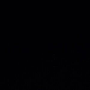 Please stop spamming my email! This is ridiculous.